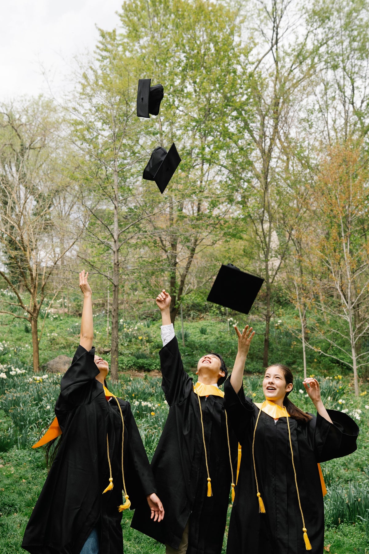 Graduation