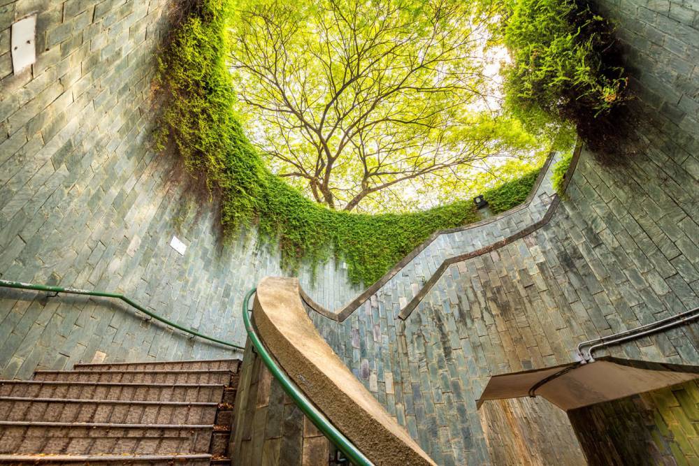 Singapore Experiences